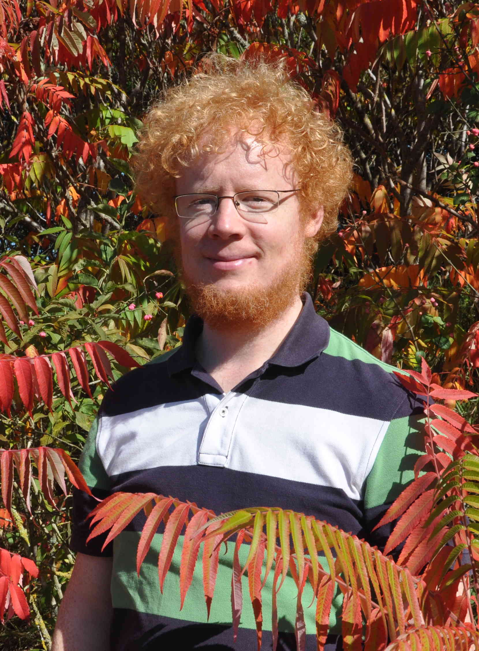 David Scherger